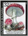 Colnect-3509-618-Fly-agaric-Amanita-muscaria.jpg