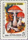 Colnect-3989-030-Fly-agaric-Amanita-muscaria.jpg