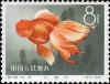 Colnect-504-499-Goldfish-Carassius-auratus-auratus.jpg