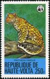 Colnect-5112-927-Leopard-Panthera-pardus.jpg