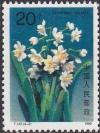 Colnect-603-531-Narcissus-Tazetta.jpg