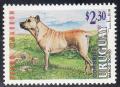 Colnect-1391-383-Uruguayan-Cimarron-Canis-lupus-familiaris.jpg