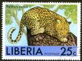 Colnect-1493-041-Leopard-Panthera-pardus.jpg