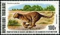 Colnect-2679-235-Leopard-Panthera-pardus.jpg