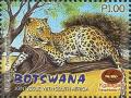 Colnect-3387-694-Leopard-Panthera-pardus.jpg