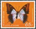 Colnect-3704-153-Blue-Patch-Charaxes-Charaxes-lactetinctus.jpg