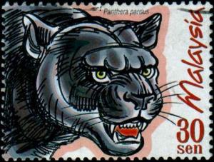 Colnect-1052-730-Leopard-Panthera-pardus.jpg