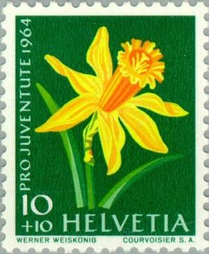 Colnect-140-250-Daffodil-Narcissus-pseudonarcissus.jpg