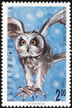 Colnect-1976-624-Short-eared-Owl-Asio-flammeus.jpg