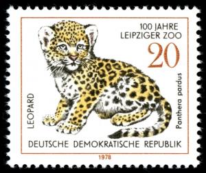 Colnect-1980-254-Leopard-Panthera-pardus.jpg