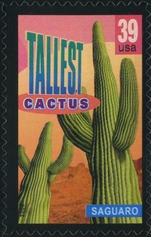 Colnect-202-550-Saguaro-tallest-cactus.jpg