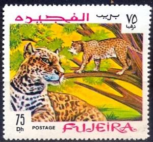 Colnect-2249-615-Leopard-Panthera-pardus.jpg