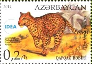 Colnect-2329-370-Leopard-Panthera-pardus.jpg