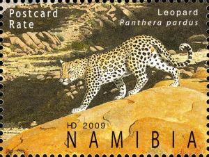 Colnect-3063-990-Leopard-Panthera-pardus.jpg