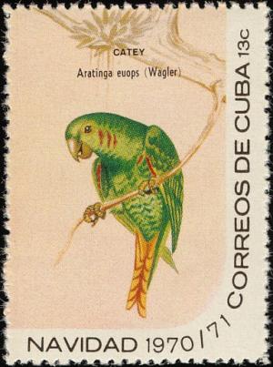 Colnect-3837-369-Cuban-Parakeet-Aratinga-euops.jpg