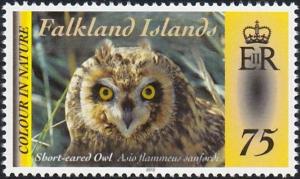 Colnect-3912-247-Falkland-Short-eared-Owl-Asio-flammeus-sanfordi.jpg