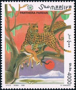 Colnect-5142-428-Leopard-Panthera-pardus.jpg