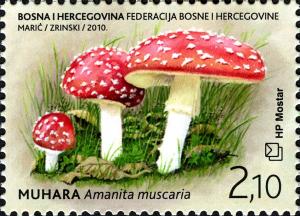 Colnect-5878-949-Fly-agaric-Amanita-muscaria.jpg