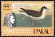 Colnect-1637-984-Audubon-s-Shearwater-Puffinus-Iherminieri.jpg