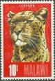 Colnect-1732-892-Leopard-Panthera-pardus.jpg
