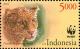 Colnect-3765-006-Javan-Leopard-Panthera-pardus-melas.jpg