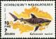 Colnect-869-301-Tiger-Shark-Galeocerdo-cuvieri.jpg