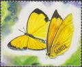 Colnect-3939-704-Large-Grass-Yellow-Eurema-hecabe.jpg