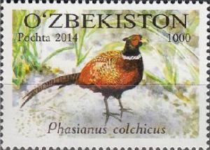Colnect-3567-083-Common-Pheasant-Phasianius-colchicus.jpg