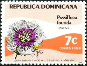 Colnect-5882-653-Passiflora-poetida.jpg