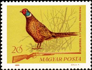Colnect-877-142-Common-Pheasant-Phasianus-colchicus.jpg