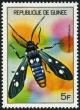 Colnect-3772-474-Polka-dot-Wasp-Moth-Syntomeida-epilais.jpg
