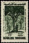 5th_World_Forests_Congress_in_Seattle_-_stamp_-_Tunisia_-_1960.jpg
