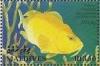 Colnect-1459-969-Goldsaddle-Goatfish-Parupeneus-cyclostomus.jpg