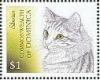 Colnect-3235-682-Siberian-Cat-Felis-silvestris-catus.jpg