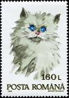 Colnect-4900-253-Domestic-Cat-Felis-silvestris-catus.jpg