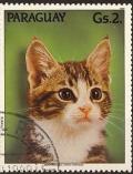 Colnect-1118-564-Domestic-Cat-Felis-silvestris-catus.jpg