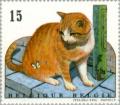 Colnect-186-877-Domestic-Cat-Felis-silvestris-catus.jpg