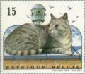 Colnect-186-879-Domestic-Cat-Felis-silvestris-catus.jpg
