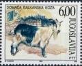 Colnect-1889-397-Balkan-Goat-Capra-aegagrus-hircus.jpg