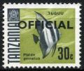 Colnect-1907-739-Dusky-Batfish-Platax-pinnatus.jpg