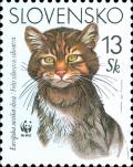 Colnect-1940-583-European-Wild-Cat-Felis-sylvestris-sylvestris.jpg
