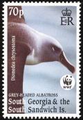 Colnect-4571-621-Grey-headed-Albatross-Thalassarche-chrysostoma.jpg