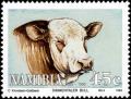 Colnect-5214-384-Simmentaler-Cattle-Bos-primigenius-taurus.jpg