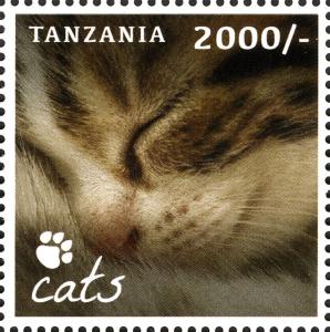Colnect-2427-358-Domestic-Cat-Felis-silvestris-catus.jpg
