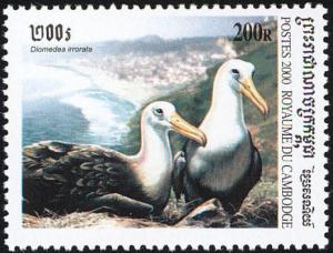 Colnect-1527-026-Waved-Albatross-Diomedea-irrorata.jpg