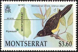 Colnect-1785-047-Montserrat-Oriole-Icterus-oberi.jpg
