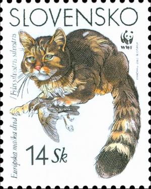 Colnect-1940-584-European-Wild-Cat-Felis-sylvestris-sylvestris.jpg