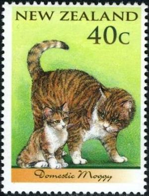 Colnect-2123-293-Domestic-Cat-Felis-silvestris-catus.jpg