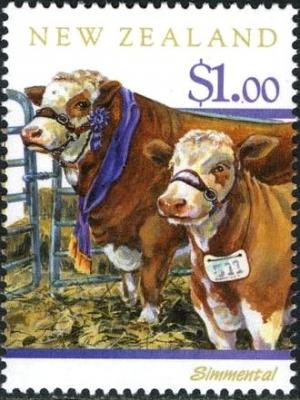 Colnect-2247-706-Simmentaler-Cattle-Bos-primigenius-taurus.jpg