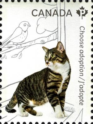 Colnect-2283-241-Domestic-Cat-Felis-silvestris-catus.jpg